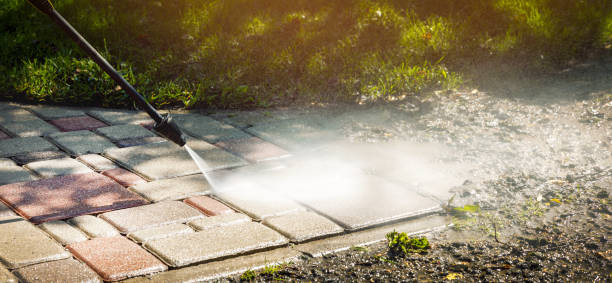 Best Dumpster Area Cleaning  in Riverdale, IL